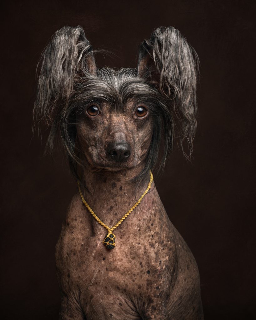 , November 2025 Highly Commended