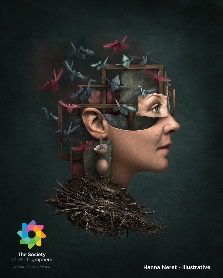 November 2025 Judges Choice