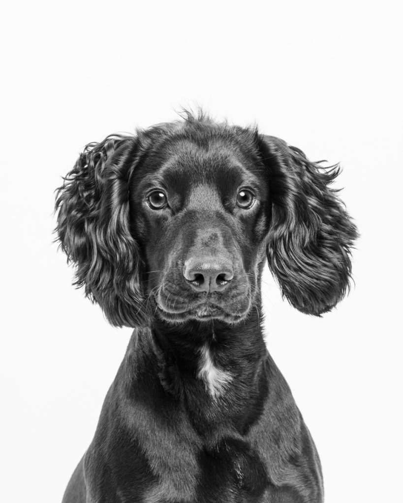 , 2025 Highly Commended Upgrades