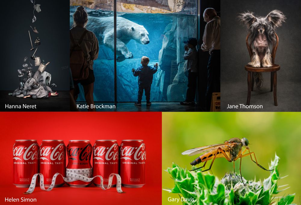 , The Society of Photographers 2025 Monthly Image Competition Highly Commended Upgrades – Results Announced