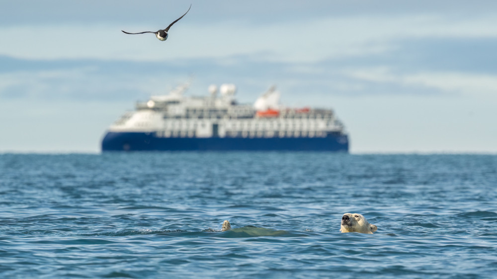 , Environmental Awareness Photographer of the Year 2025