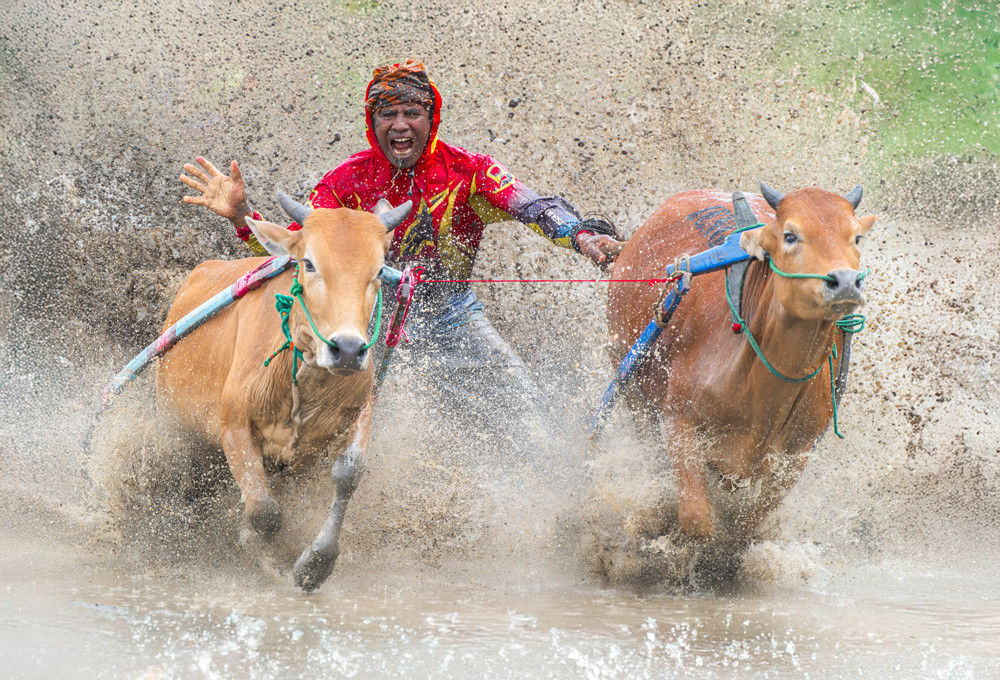 , Events Photographer of the Year 2025