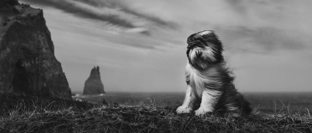 , Monochrome Photographer of the Year 2025