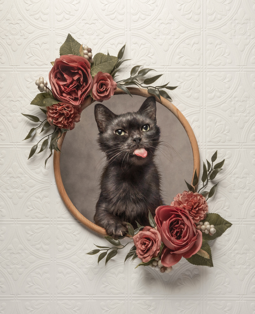 , Highest Gold Award Photographer of the Year 2025