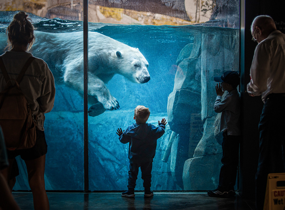 , Documentary Photographer of the Year 2025