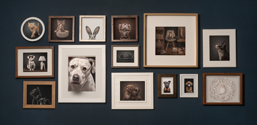 , Family and Group Portrait Photographer of the Year 2025