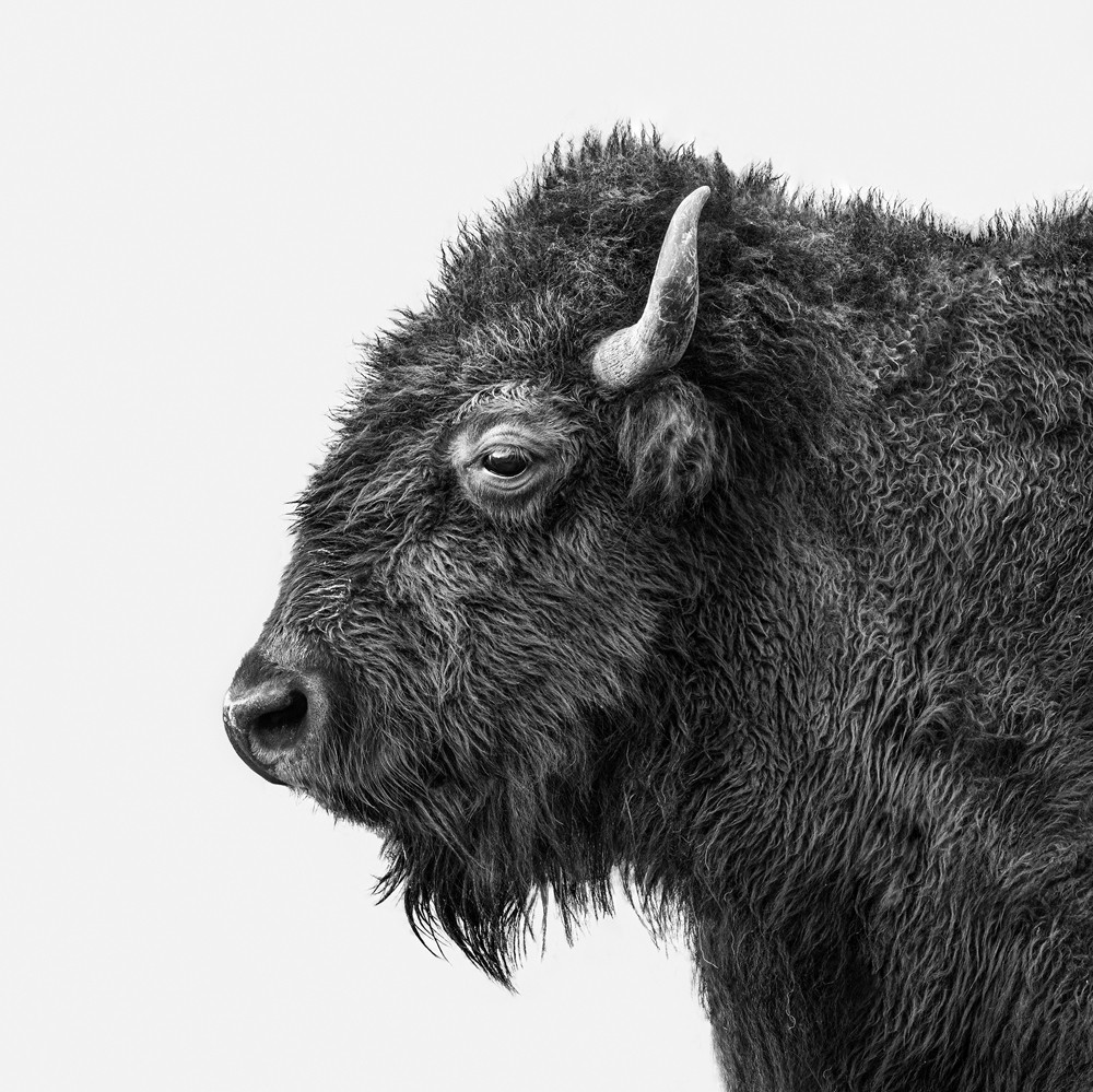 , Monochrome Photographer of the Year 2025