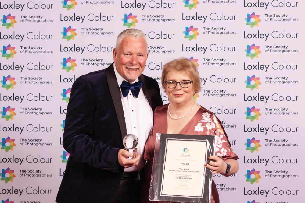 , 20 x 16&Prime; The Natural World Photographer of the Year 2026