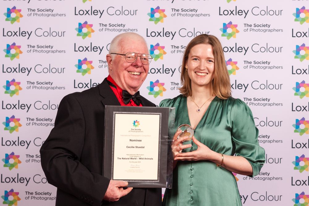 , The Natural World &ndash; Wild Animals Photographer of the Year 2025