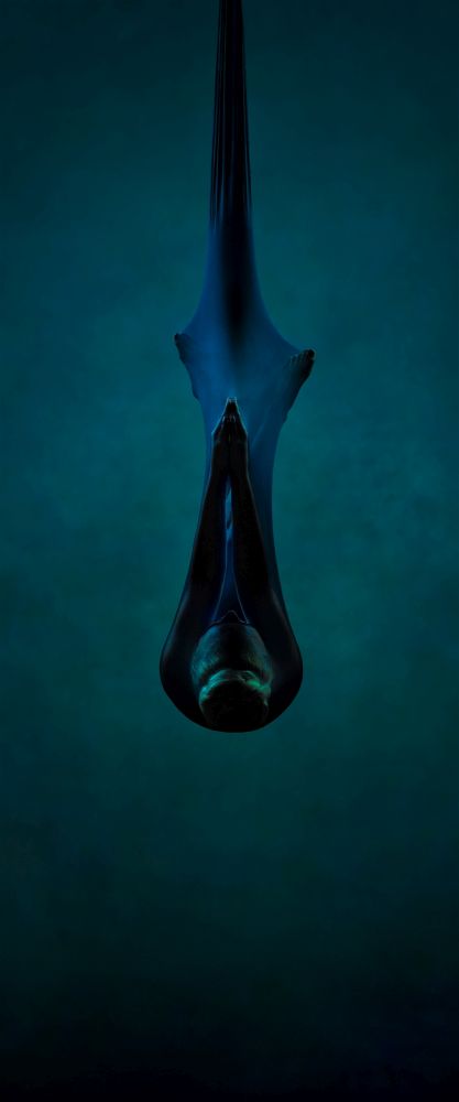 , 20 x 16″ Creative Portrait Photographer of the Year 2026