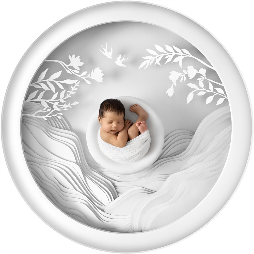 , 20 x 16&Prime; Newborn Photographer of the Year 2026