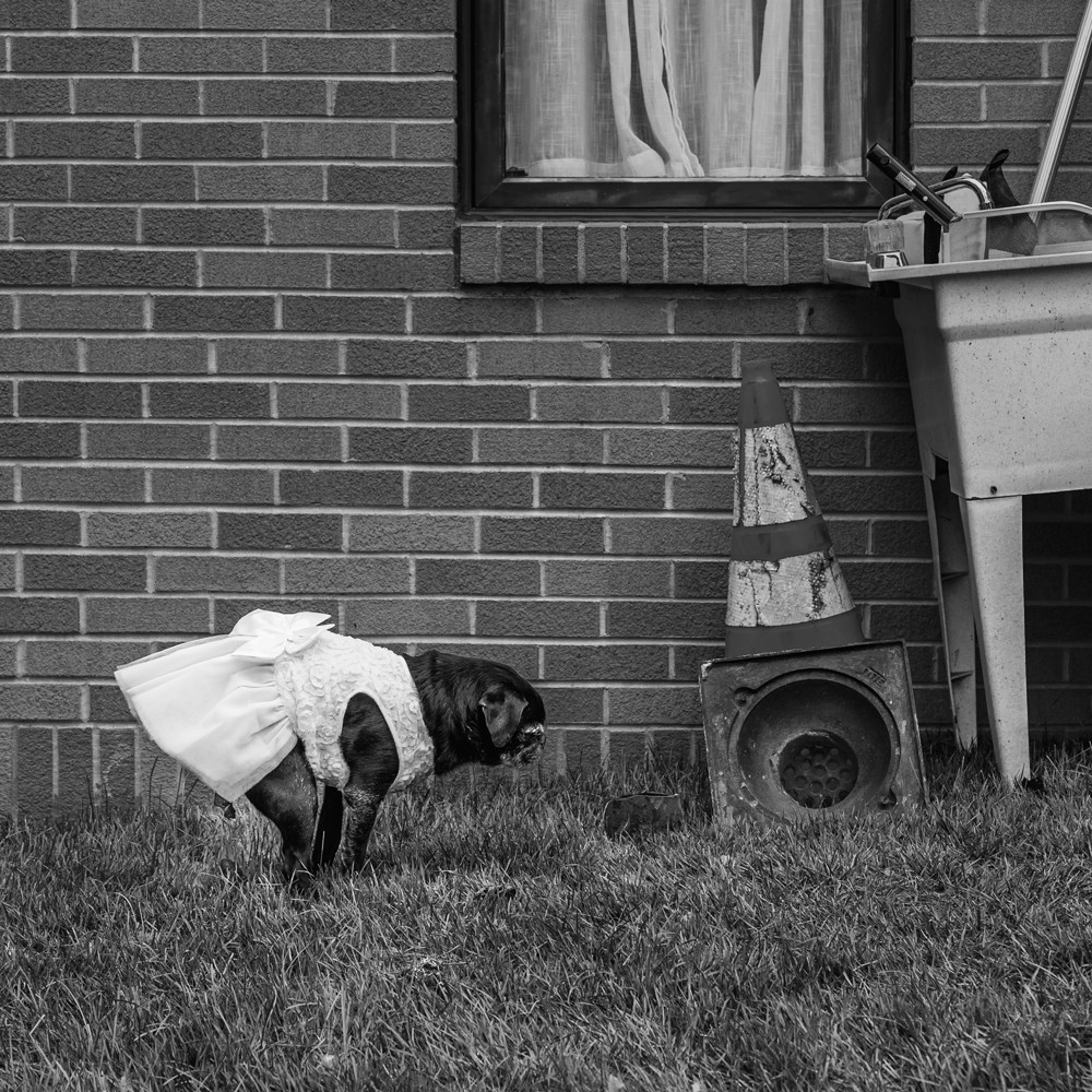 , 20 x 16&Prime; Photojournalism Photographer of the Year 2026