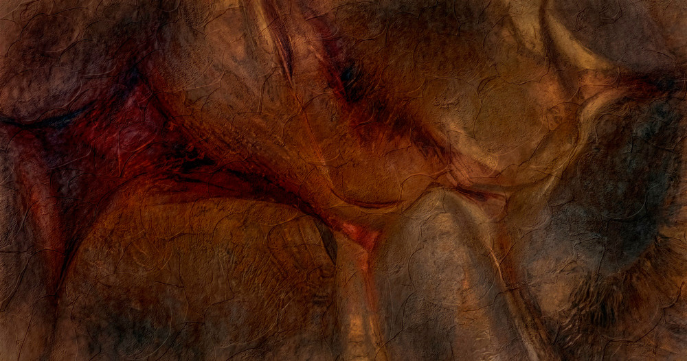 , 20 x 16″ Open Photographer of the Year 2026