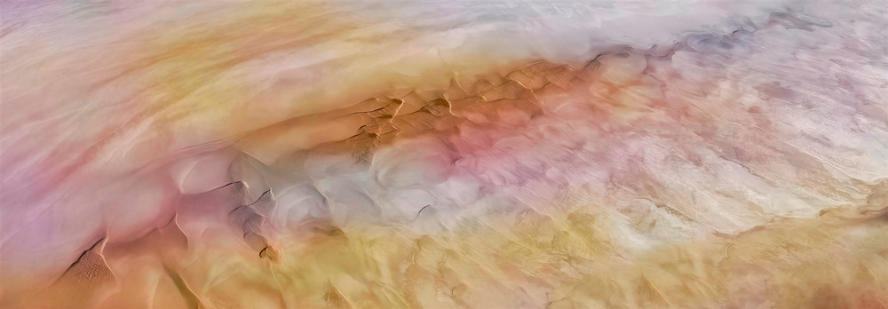 , 20 x 16&Prime; The Natural World Photographer of the Year 2026