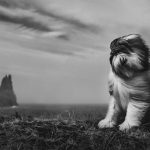 Craig Turner-Bullock