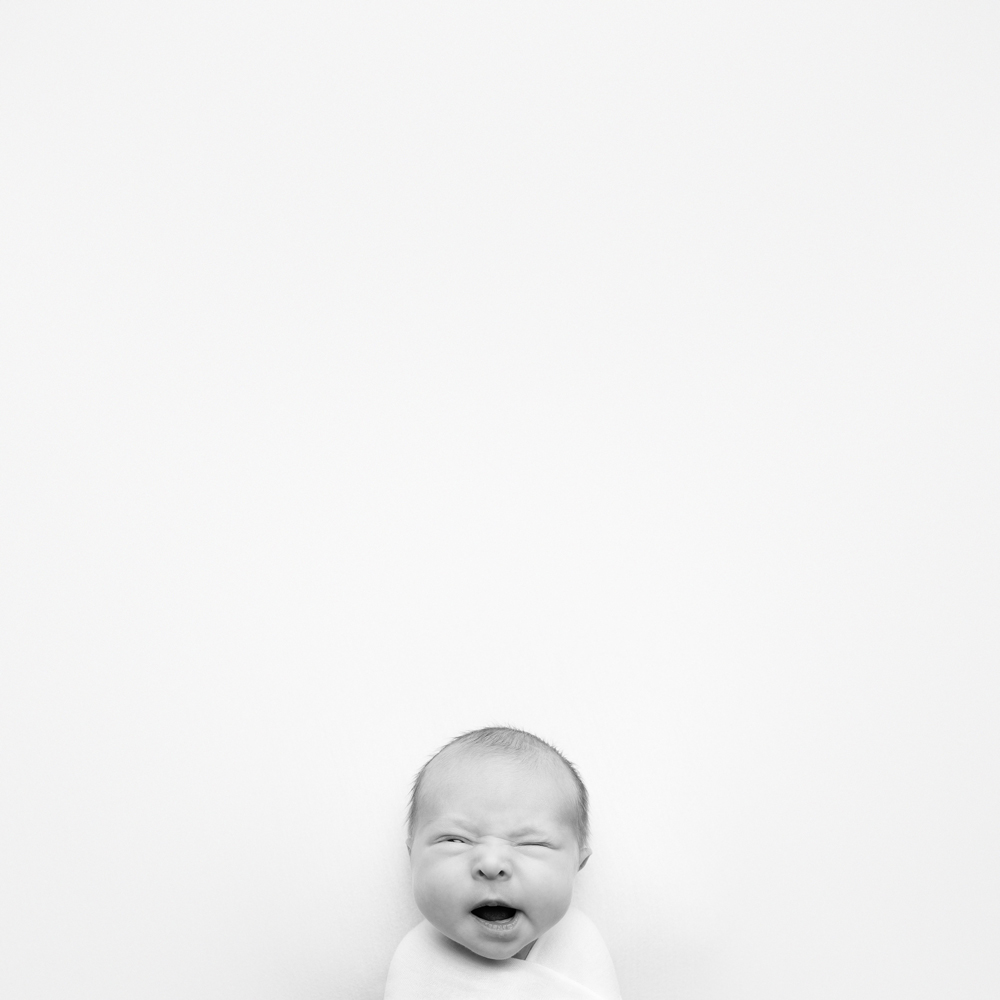 , January 2026 Highly Commended