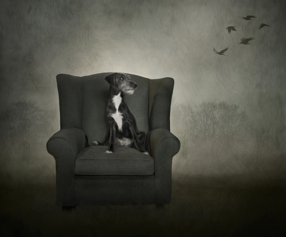 , January 2026 Highly Commended