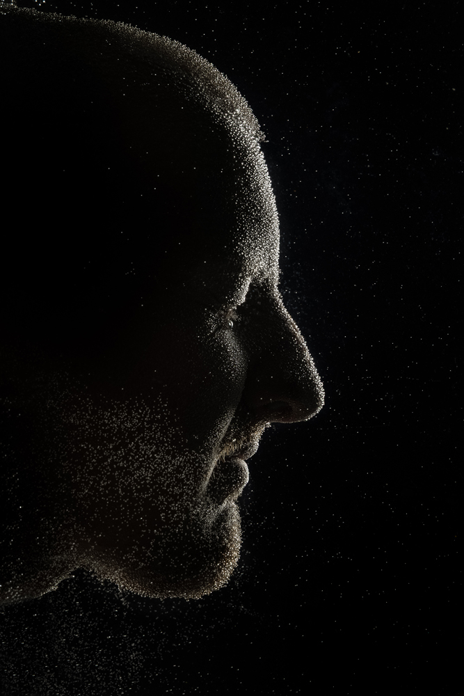 , January 2026 Gold Awards