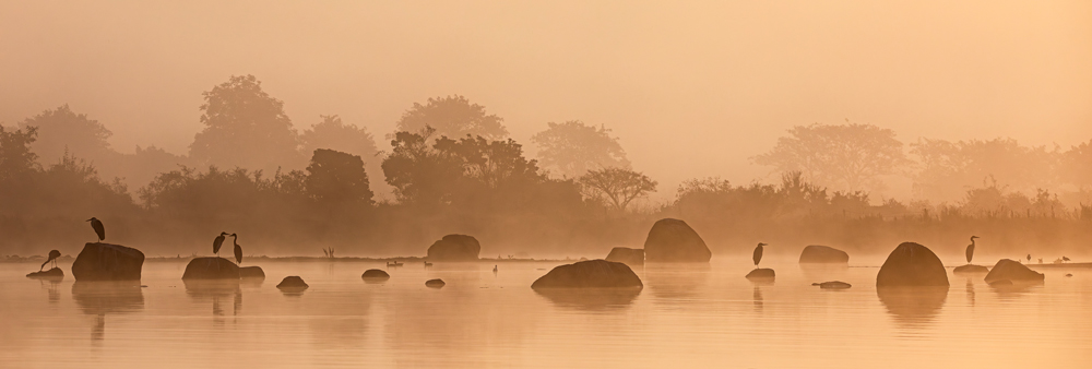 , January 2026 Gold Awards