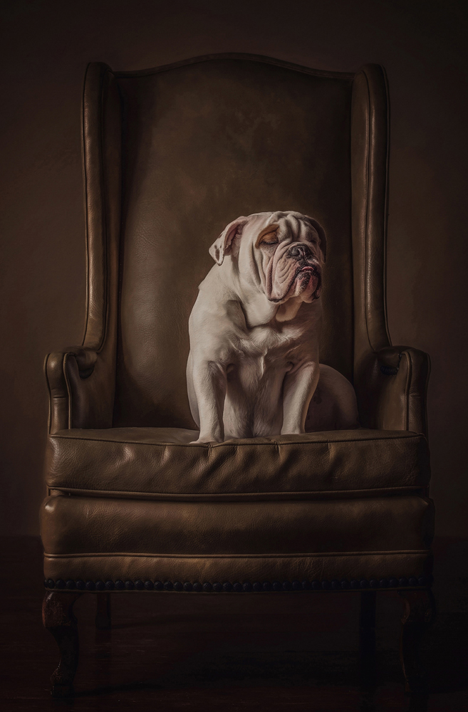 , January 2026 Highly Commended