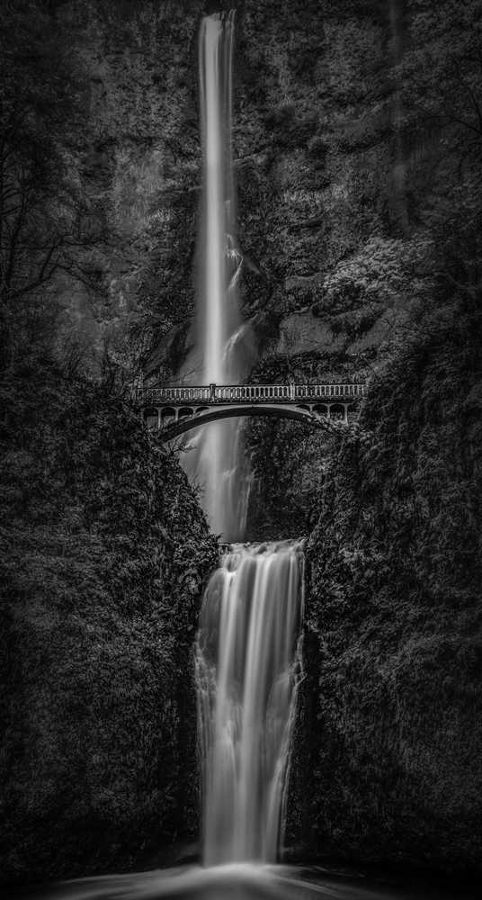 , January 2026 Highly Commended