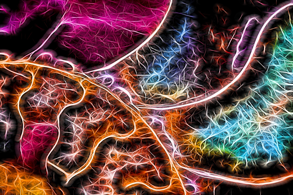 , January 2026 Highly Commended