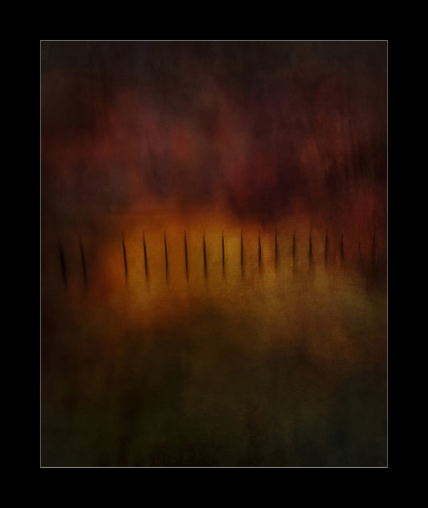 , January 2026 Highly Commended