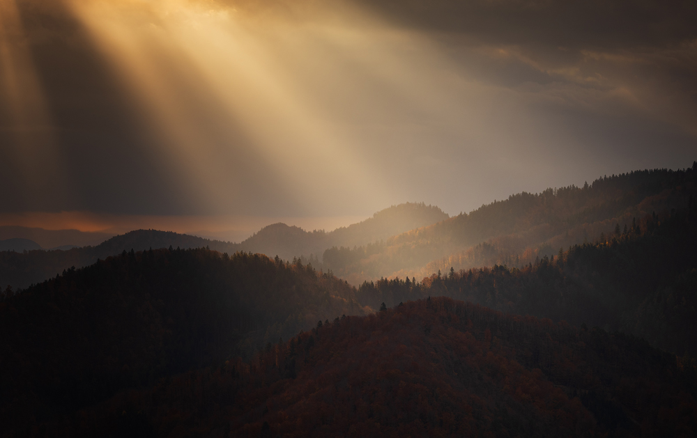 , January 2026 Highly Commended