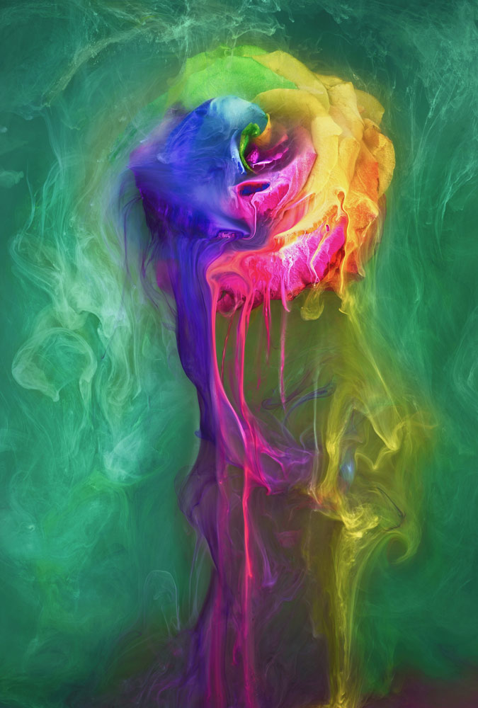 , February&nbsp;2026 Gold Awards