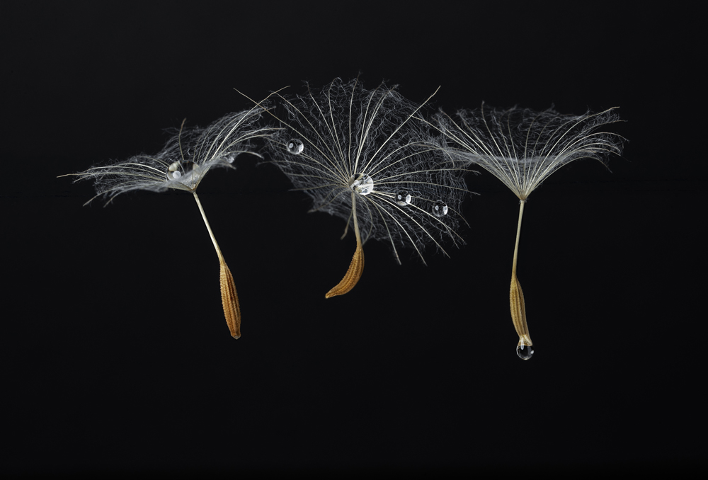 , February 2026 Highly Commended