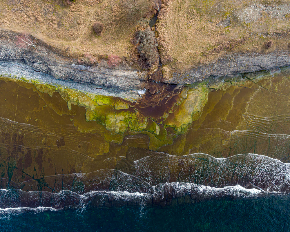 , February 2026 Highly Commended