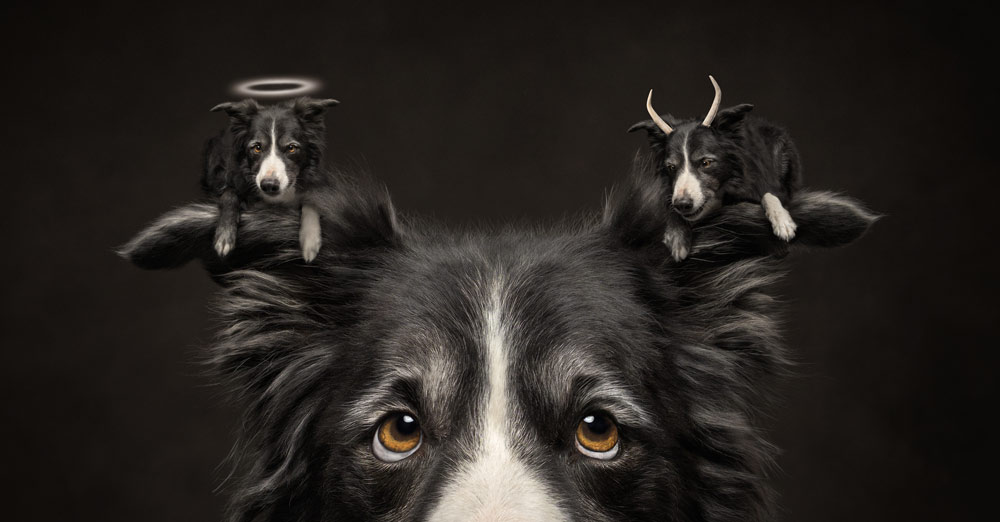 , February&nbsp;2026 Gold Awards