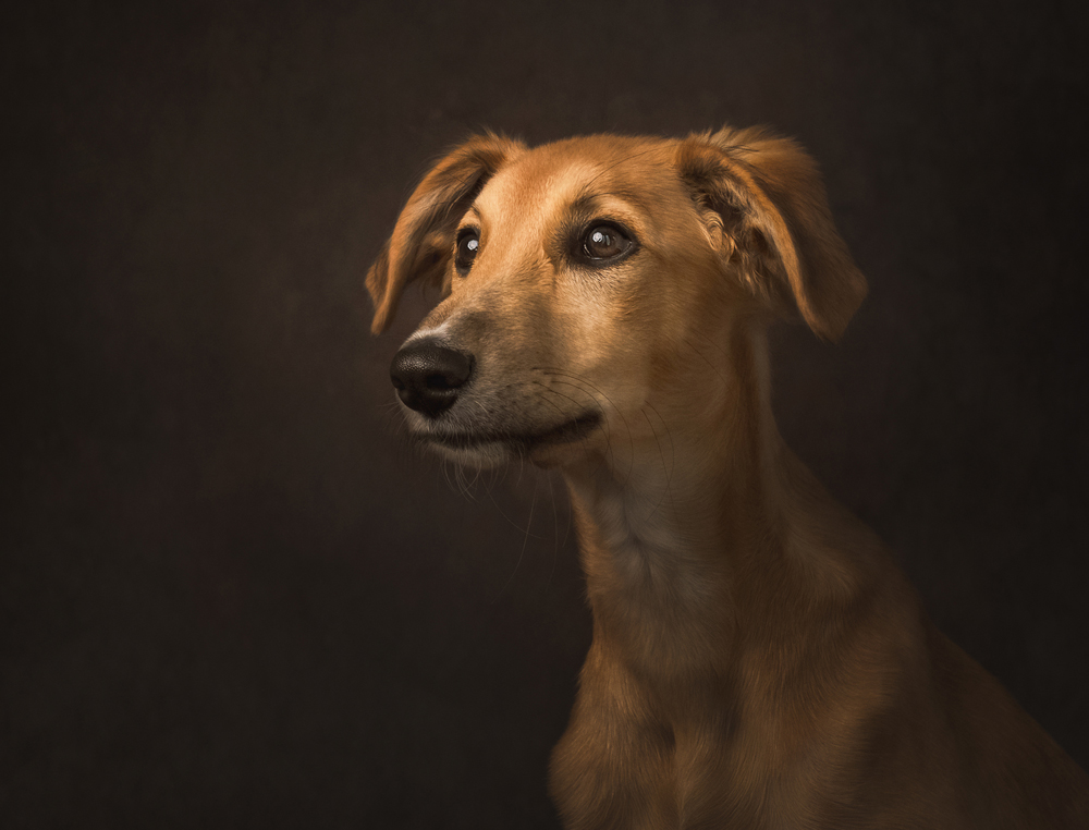 , February 2026 Highly Commended