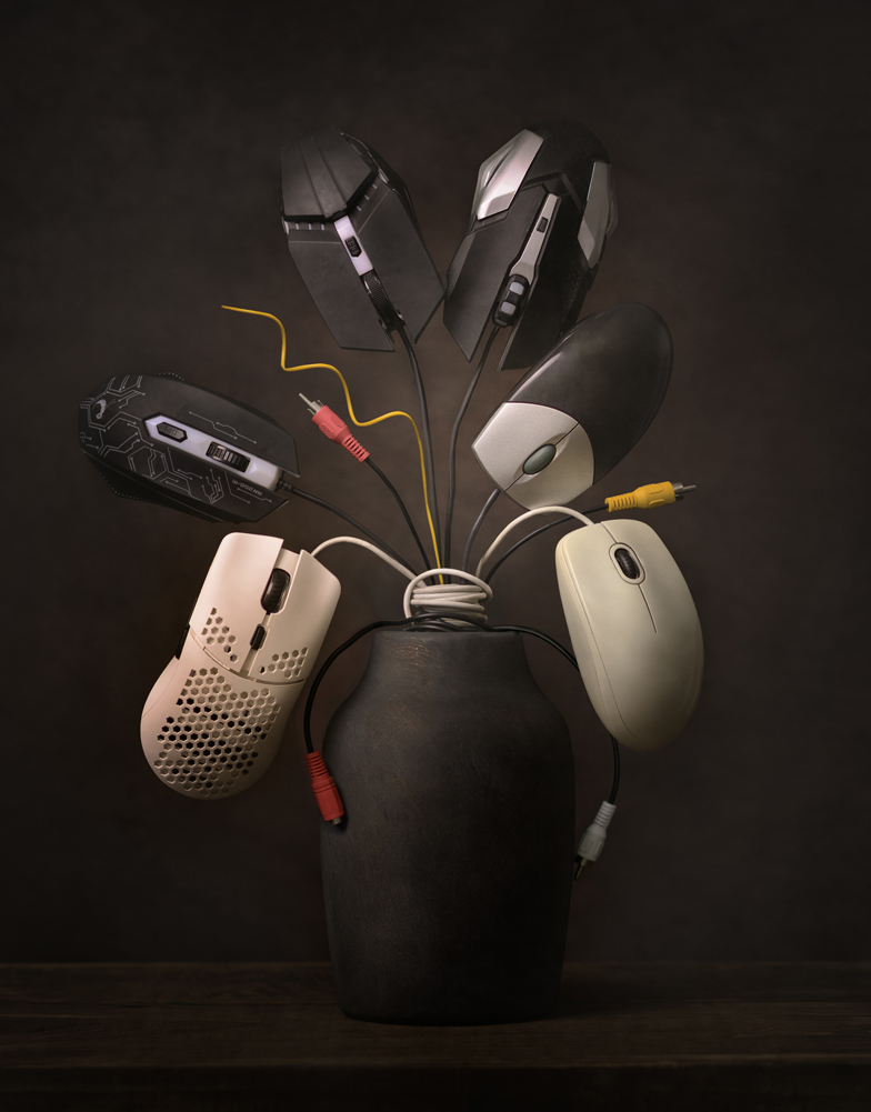 , February 2026 Highly Commended