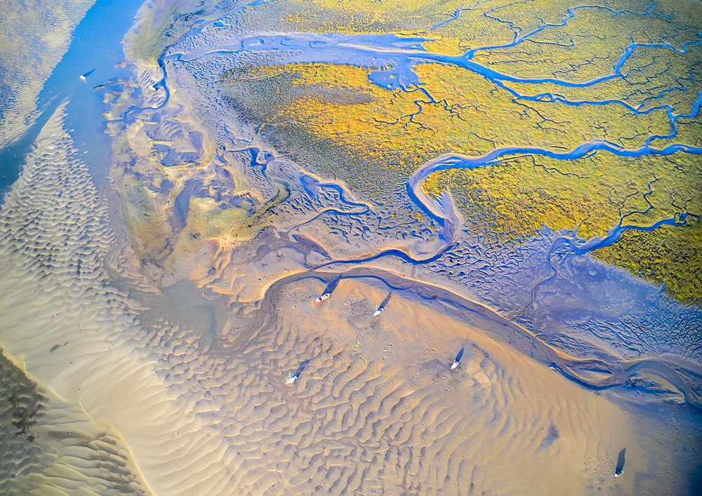 , February 2026 Highly Commended