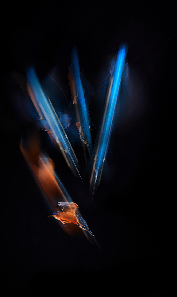 , February 2026 Highly Commended