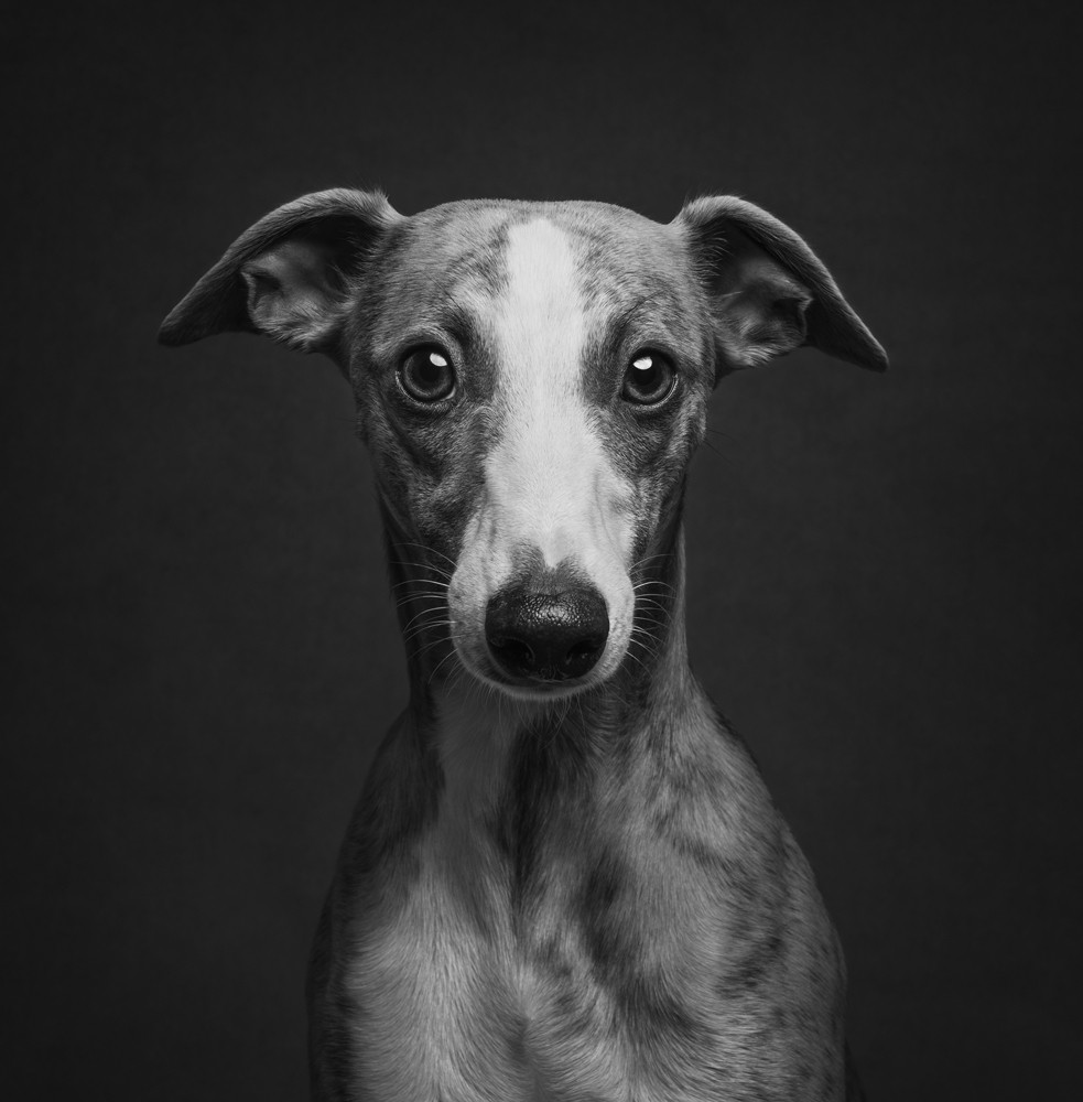 , February 2026 Highly Commended