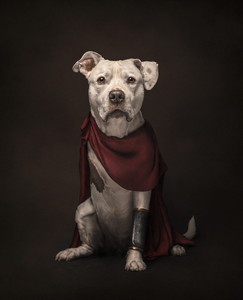 , February&nbsp;2026 Gold Awards