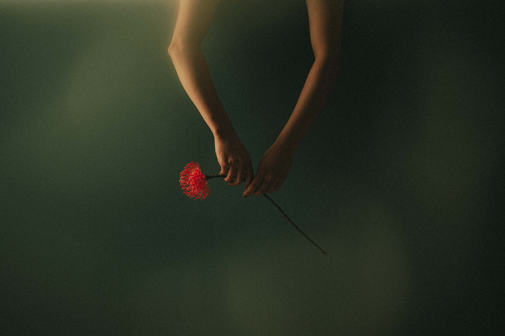 , February 2026 Highly Commended