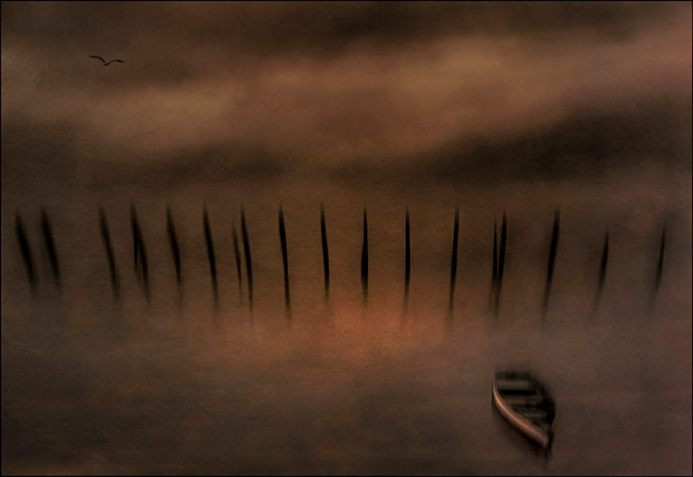 , February 2026 Highly Commended