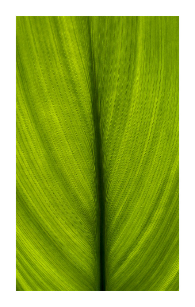 , February 2026 Highly Commended