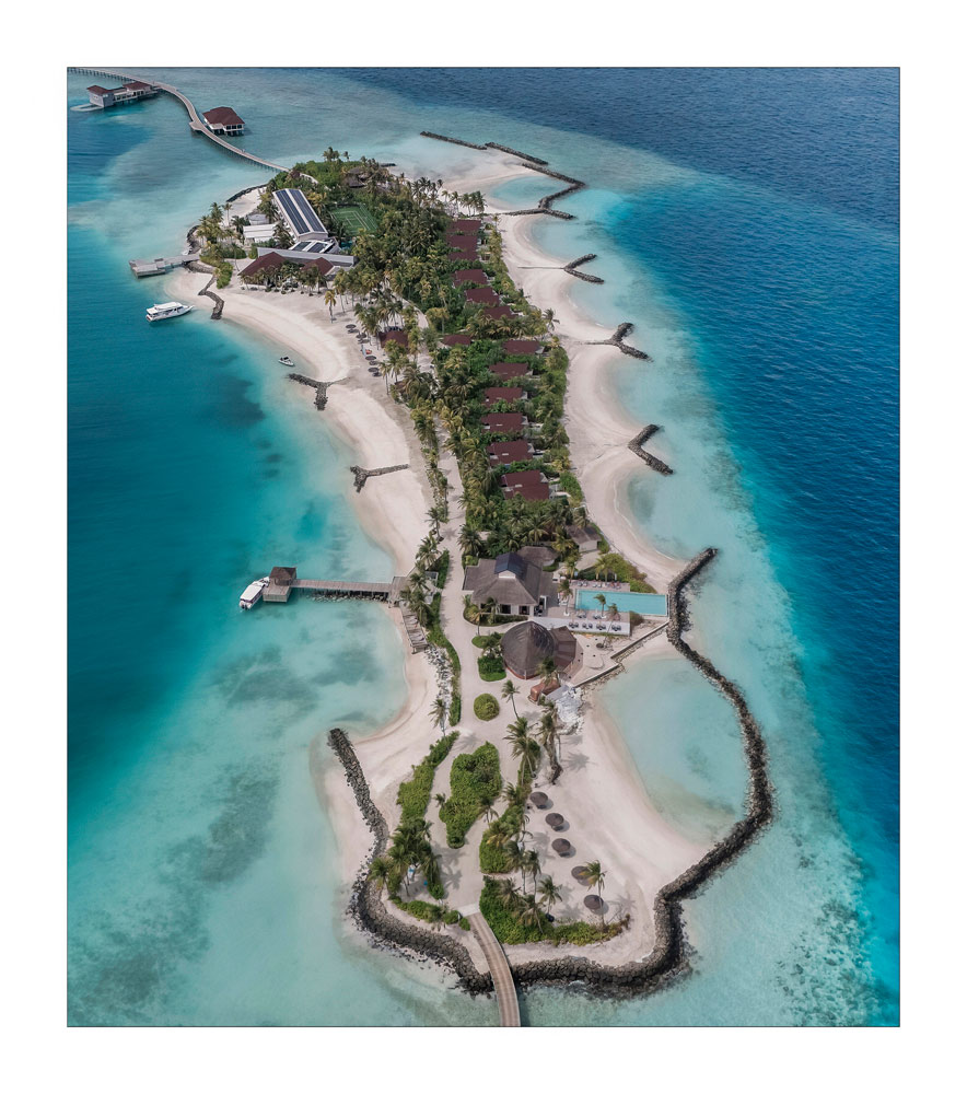 , February 2026 Highly Commended