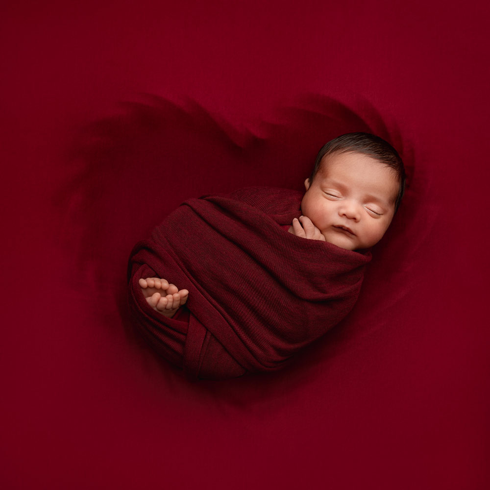 , February 2026 Highly Commended