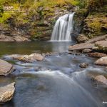 , Announcing the Life on Earth Photography Competition