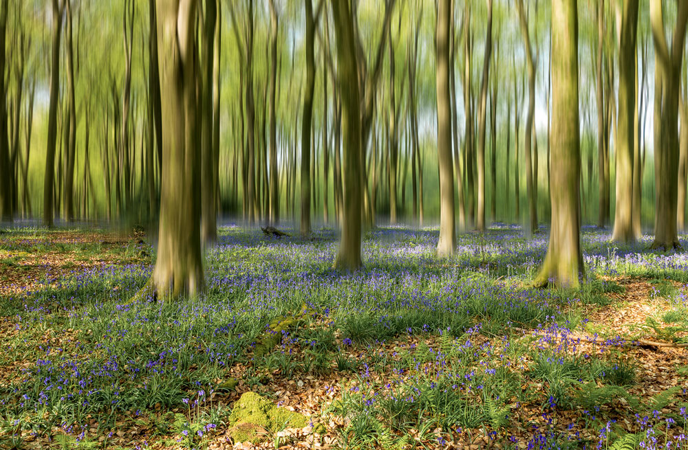 , February 2026 Highly Commended