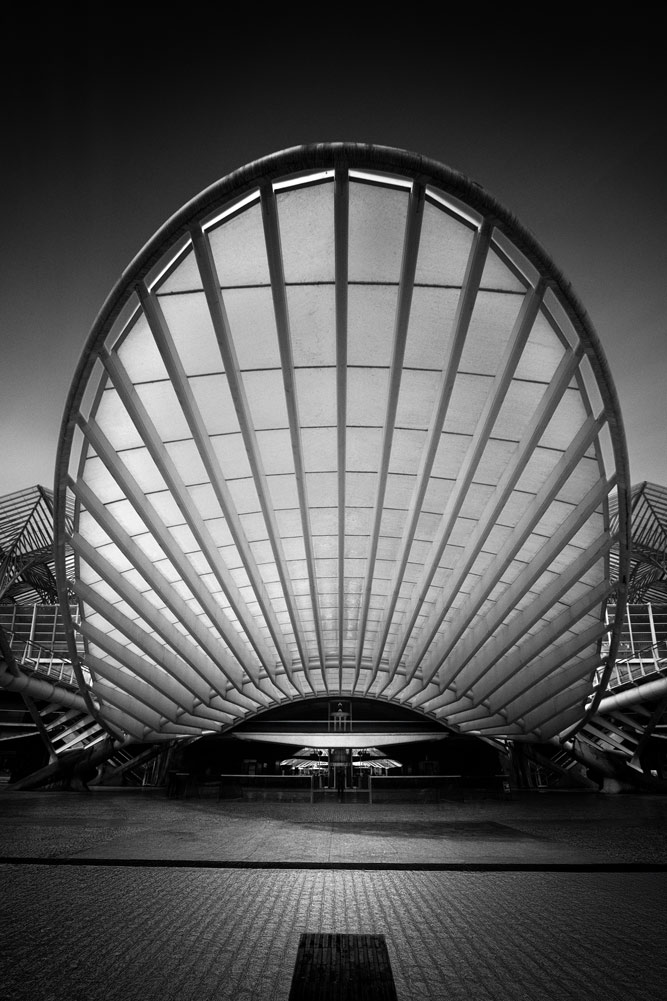 , February 2026 Highly Commended