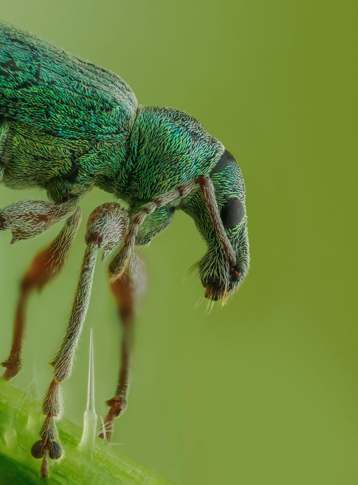 , March 2026 Highly Commended