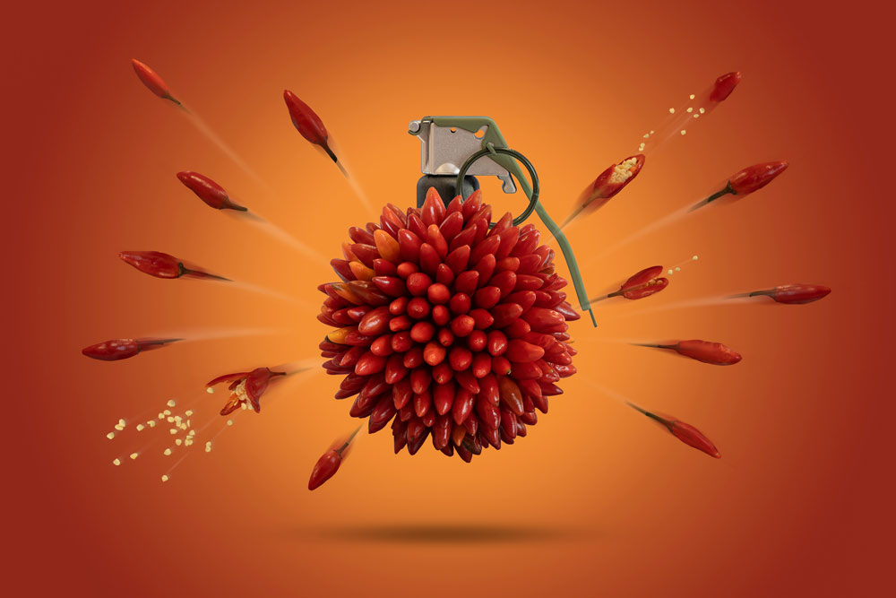 , March 2026 Highly Commended