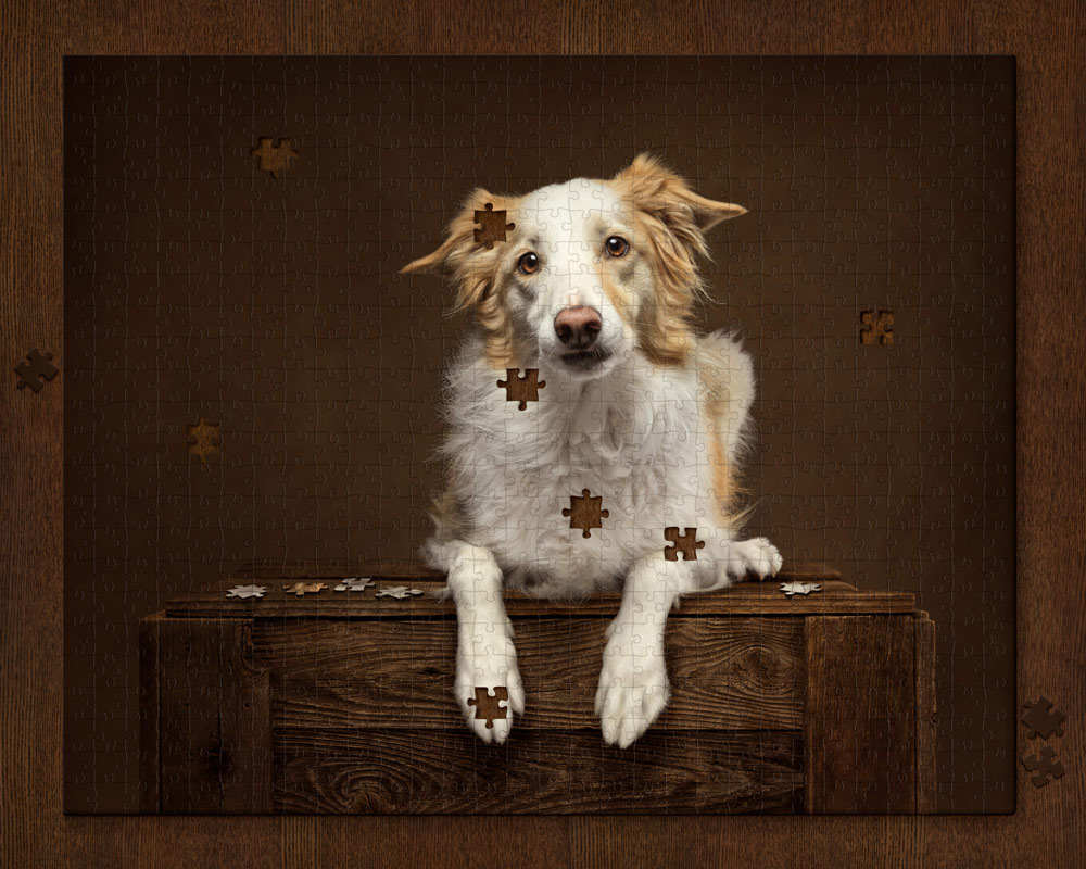 , March 2026 Highly Commended