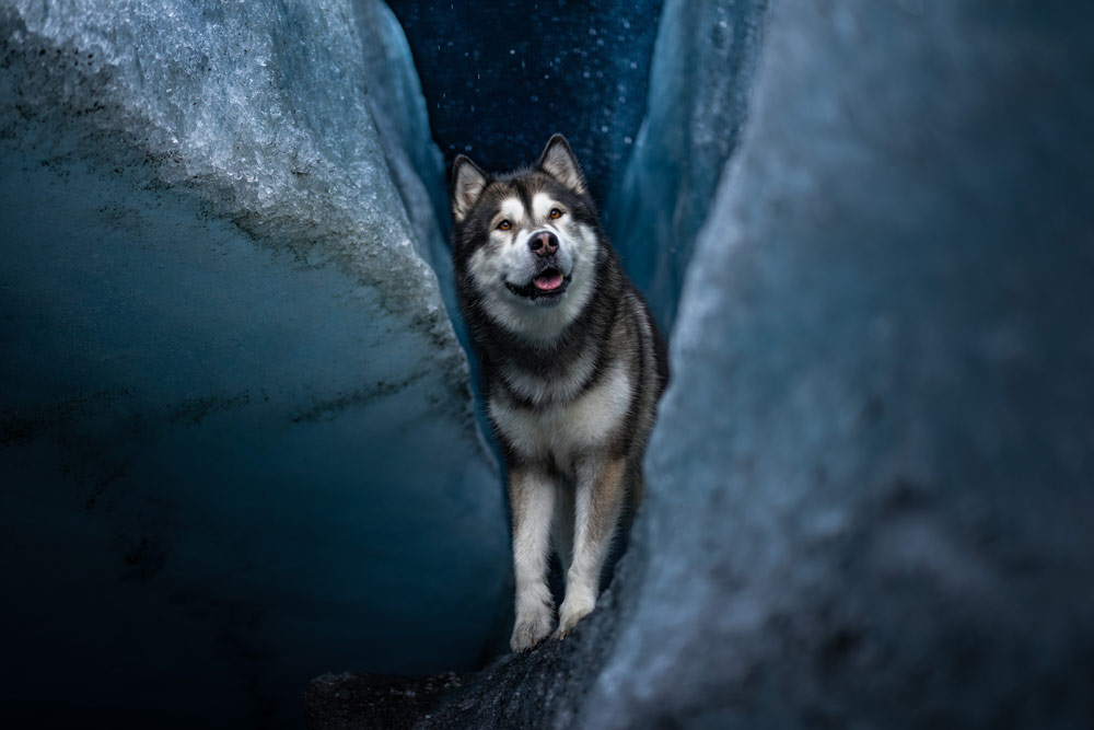 , March 2026 Highly Commended